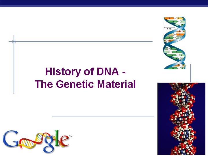 History of DNA The Genetic Material AP Biology 2006 -2007 
