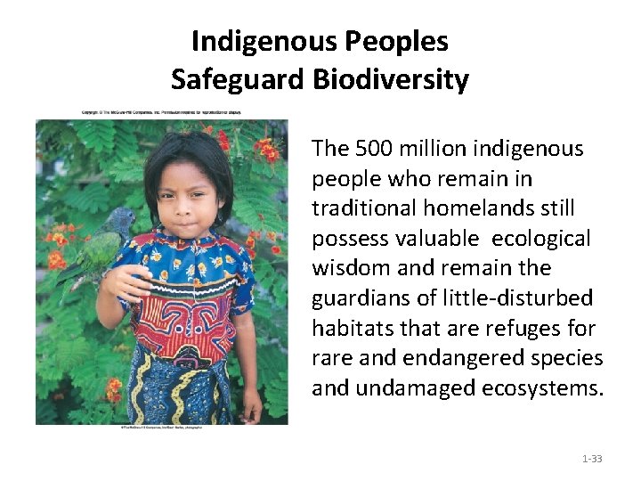 Indigenous Peoples Safeguard Biodiversity The 500 million indigenous people who remain in traditional homelands Indigenous Peoples Safeguard Biodiversity The 500 million indigenous people who remain in traditional homelands