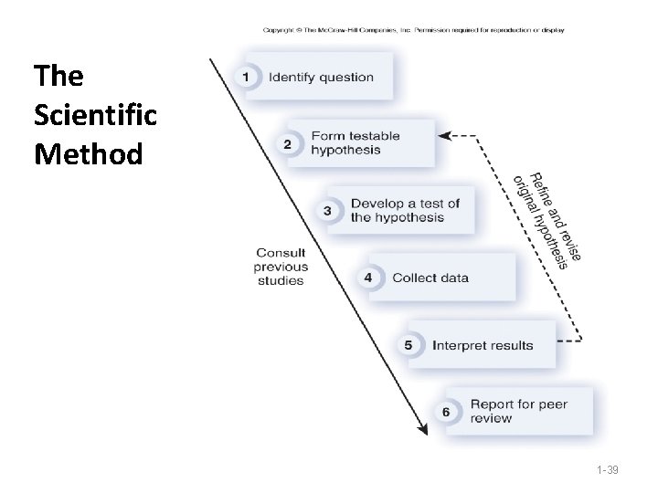 The Scientific Method 1 -39 The Scientific Method 1 -39