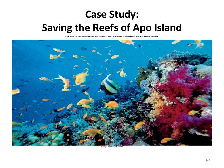 Case Study: Saving the Reefs of Apo Island 1 -4 Case Study: Saving the Reefs of Apo Island 1 -4