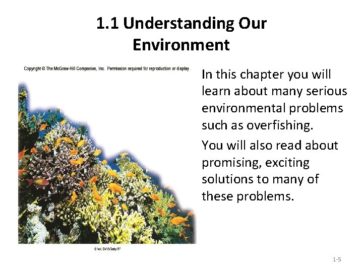 1. 1 Understanding Our Environment • In this chapter you will learn about many 1. 1 Understanding Our Environment • In this chapter you will learn about many
