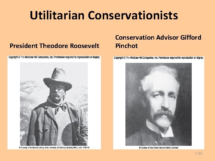 Utilitarian Conservationists President Theodore Roosevelt Conservation Advisor Gifford Pinchot 1 -53 Utilitarian Conservationists President Theodore Roosevelt Conservation Advisor Gifford Pinchot 1 -53