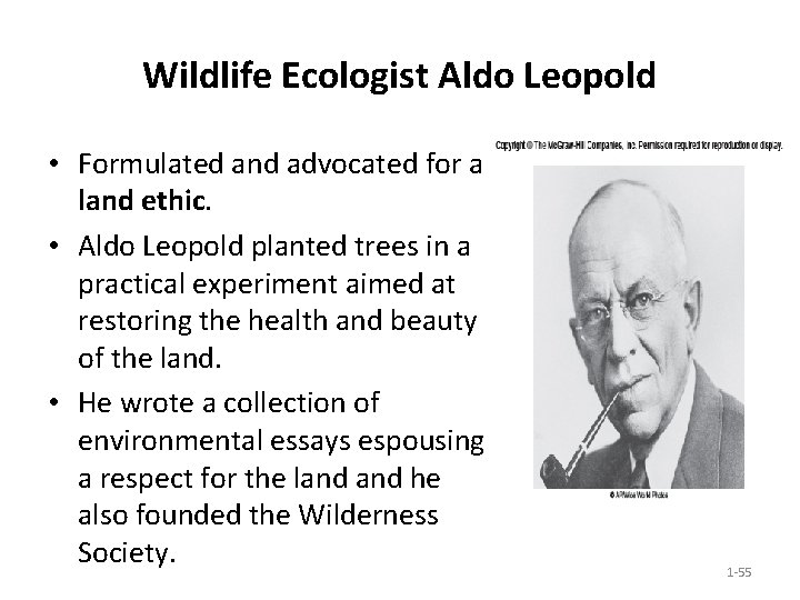 Wildlife Ecologist Aldo Leopold • Formulated and advocated for a land ethic. • Aldo Wildlife Ecologist Aldo Leopold • Formulated and advocated for a land ethic. • Aldo