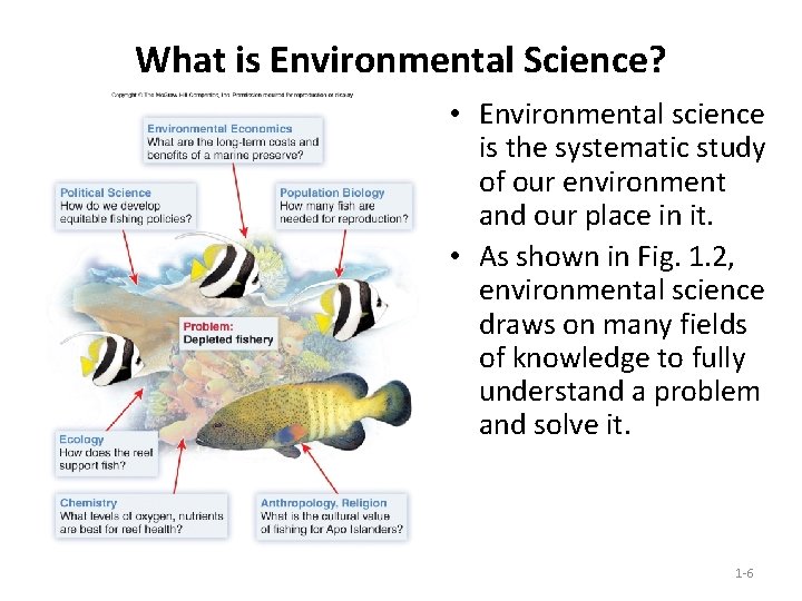 What is Environmental Science? • Environmental science is the systematic study of our environment What is Environmental Science? • Environmental science is the systematic study of our environment