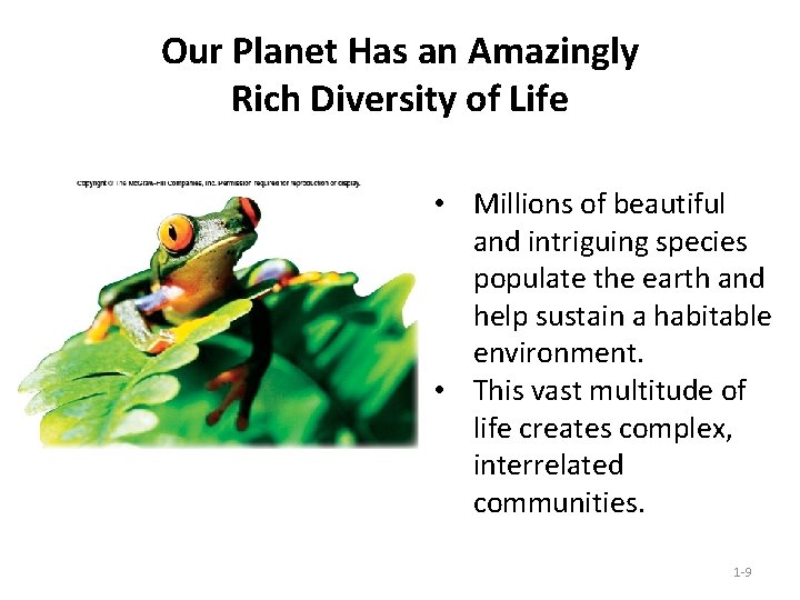 Our Planet Has an Amazingly Rich Diversity of Life • Millions of beautiful and Our Planet Has an Amazingly Rich Diversity of Life • Millions of beautiful and