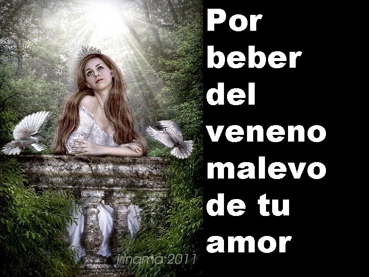 Por beber del veneno malevo de tu amor 