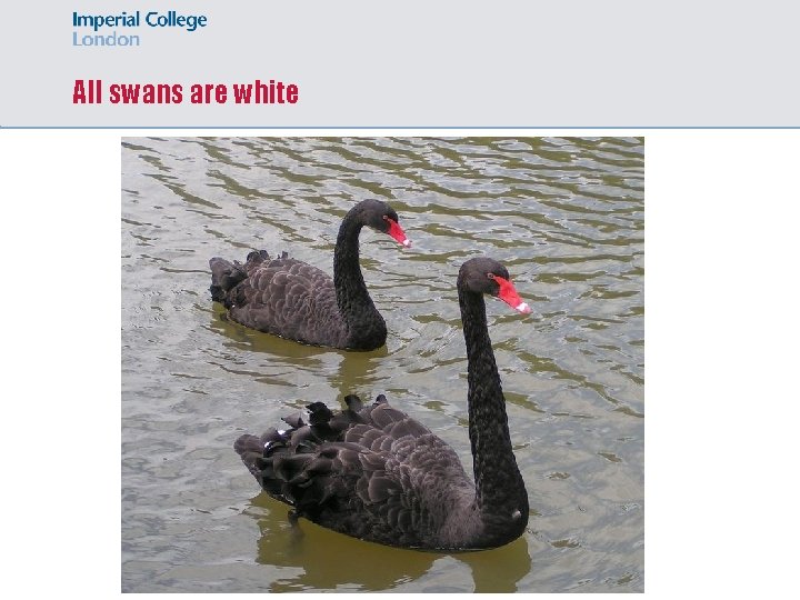 All swans are white 