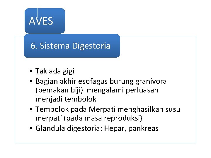 AVES 6. Sistema Digestoria • Tak ada gigi • Bagian akhir esofagus burung granivora