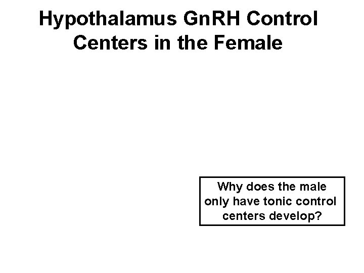 Hypothalamus Gn. RH Control Centers in the Female Why does the male only have