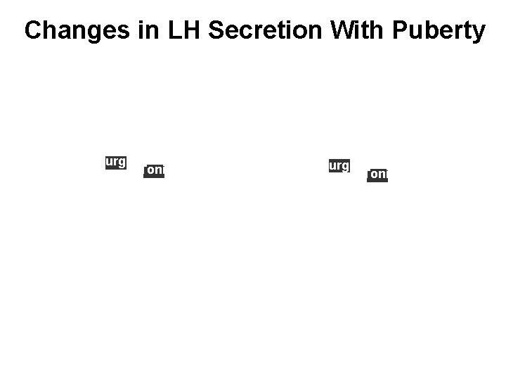 Changes in LH Secretion With Puberty Surge Tonic 