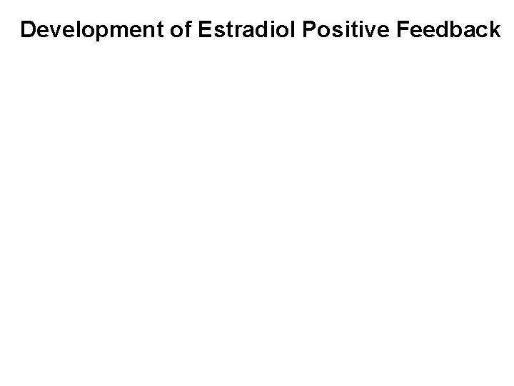 Development of Estradiol Positive Feedback 