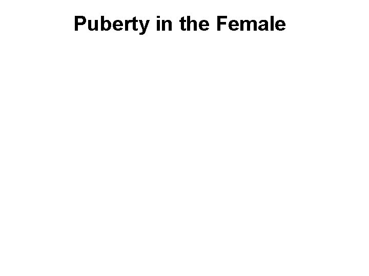 Puberty in the Female 