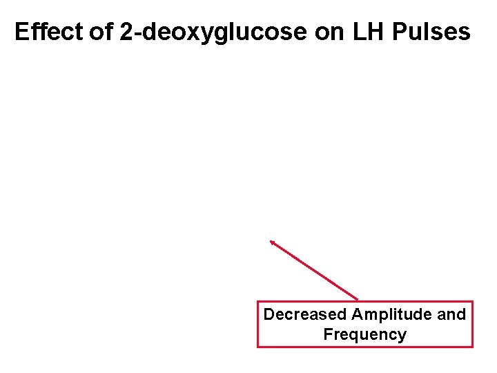 Effect of 2 -deoxyglucose on LH Pulses Decreased Amplitude and Frequency 