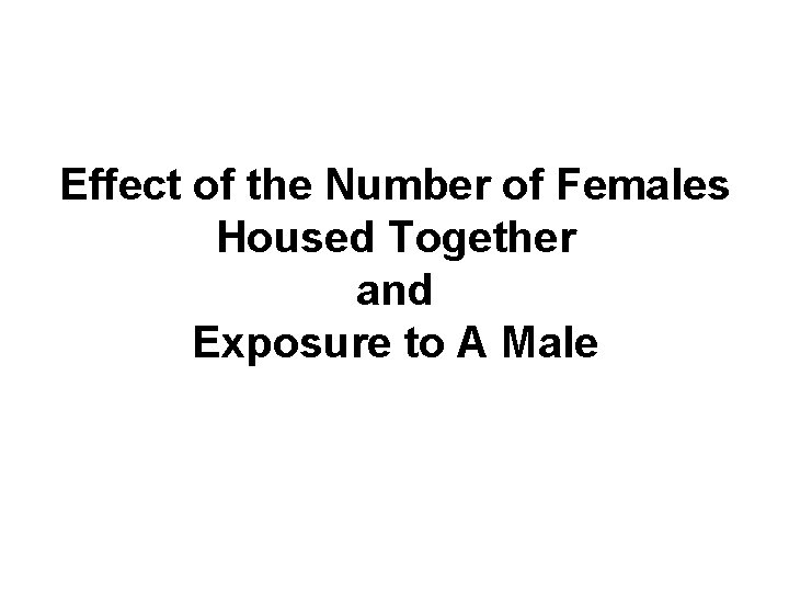 Effect of the Number of Females Housed Together and Exposure to A Male 