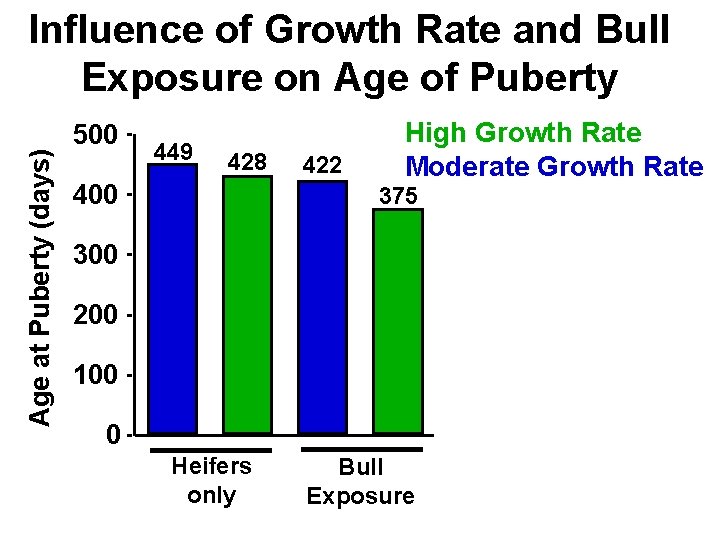 Age at Puberty (days) Influence of Growth Rate and Bull Exposure on Age of