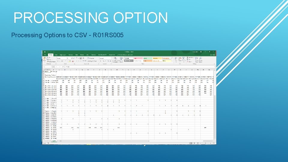 PROCESSING OPTION Processing Options to CSV - R 01 RS 005 