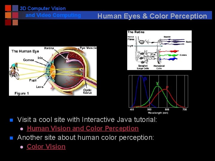 3 D Computer Vision and Video Computing n Visit a cool site with Interactive