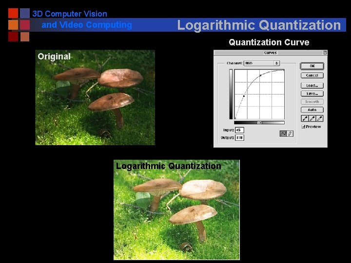3 D Computer Vision and Video Computing Logarithmic Quantization Curve Original Logarithmic Quantization 