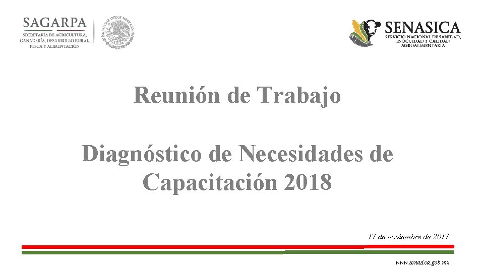 Reunión de Trabajo Diagnóstico de Necesidades de Capacitación 2018 17 de noviembre de 2017