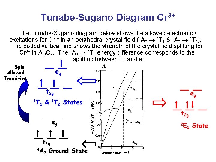 Tunabe-Sugano Diagram Cr 3+ The Tunabe-Sugano diagram below shows the allowed electronic • excitations