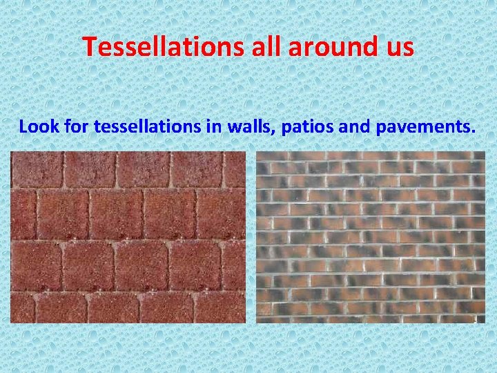 Tessellations all around us Look for tessellations in walls, patios and pavements. 