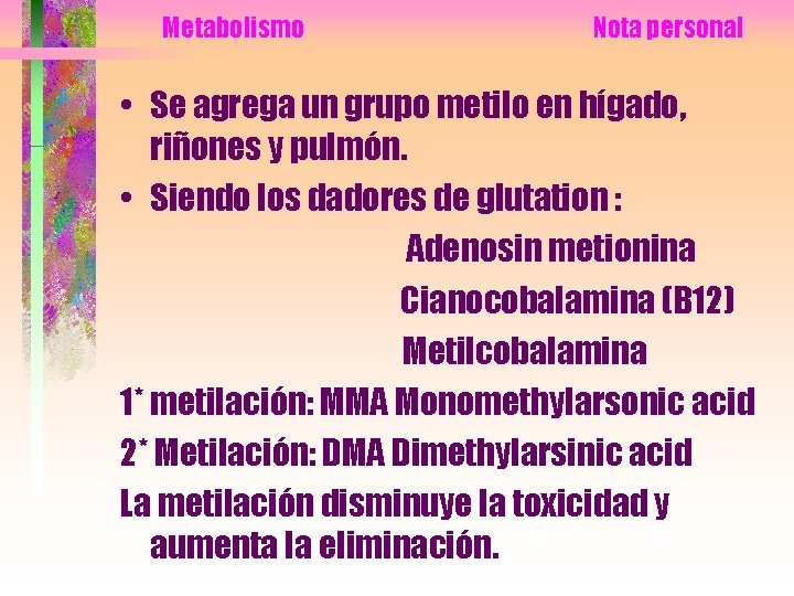 Metabolismo Nota personal • Se agrega un grupo metilo en hígado, riñones y pulmón.