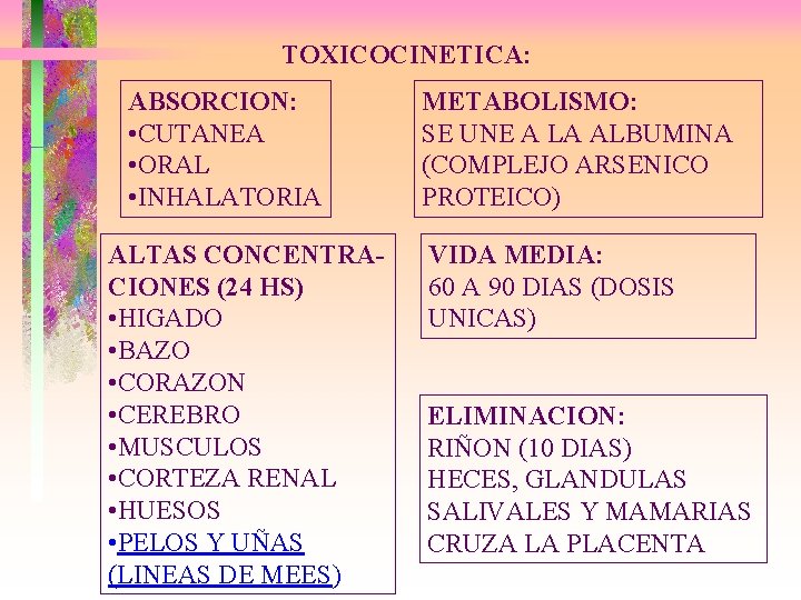 TOXICOCINETICA: ABSORCION: • CUTANEA • ORAL • INHALATORIA ALTAS CONCENTRACIONES (24 HS) • HIGADO