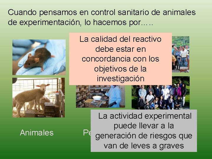 Cuando pensamos en control sanitario de animales de experimentación, lo hacemos por…. . La