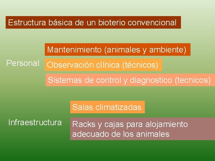 Estructura básica de un bioterio convencional Mantenimiento (animales y ambiente) Personal Observación clínica (técnicos)