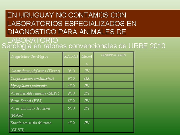 EN URUGUAY NO CONTAMOS CON LABORATORIOS ESPECIALIZADOS EN DIAGNÓSTICO PARA ANIMALES DE LABORATORIO Serología