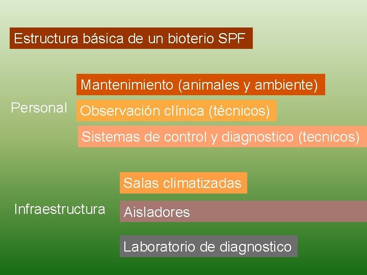 Estructura básica de un bioterio SPF Mantenimiento (animales y ambiente) Personal Observación clínica (técnicos)