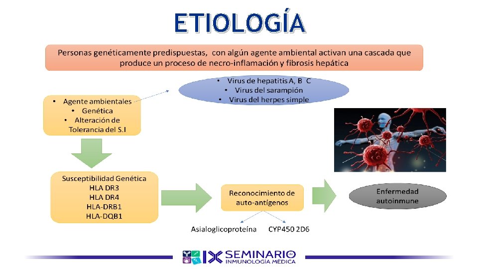 ETIOLOGÍA 