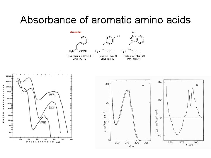 Absorbance of aromatic amino acids 