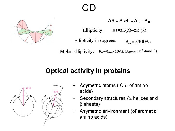 CD Ellipticity: = L(l)- R (l) Ellipticity in degrees: Molar Ellipticity: Optical activity in