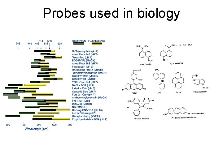 Probes used in biology 