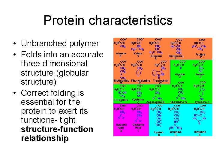 Protein characteristics • Unbranched polymer • Folds into an accurate three dimensional structure (globular