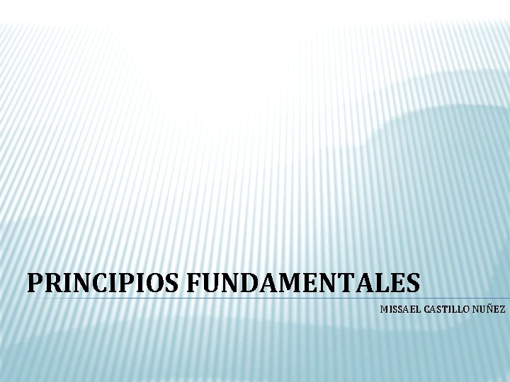 PRINCIPIOS FUNDAMENTALES MISSAEL CASTILLO NUÑEZ 