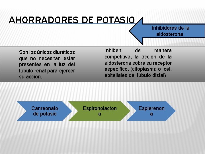 AHORRADORES DE POTASIO Son los únicos diuréticos que no necesitan estar presentes en la