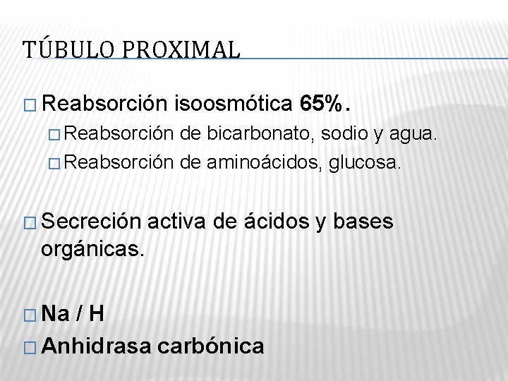 TÚBULO PROXIMAL � Reabsorción isoosmótica 65%. � Reabsorción de bicarbonato, sodio y agua. �