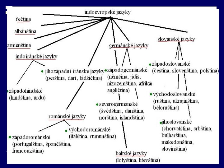 Indoevropské jazyky 