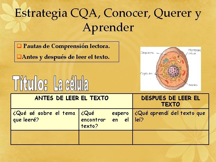 Estrategia CQA, Conocer, Querer y Aprender q Pautas de Comprensión lectora. q. Antes y