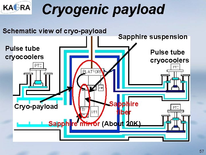 Cryogenic payload Schematic view of cryo-payload Sapphire suspension Pulse tube cryocoolers Cryo-payload Sapphire fiber