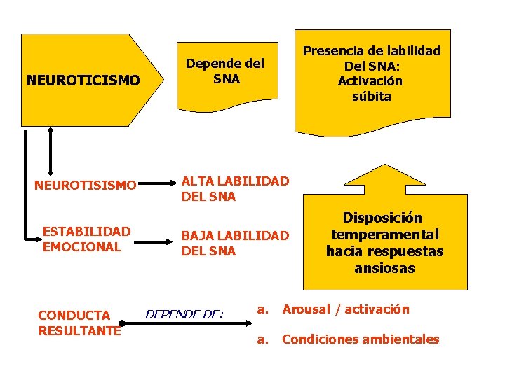 NEUROTICISMO NEUROTISISMO ESTABILIDAD EMOCIONAL CONDUCTA RESULTANTE Presencia de labilidad Del SNA: Activación súbita Depende