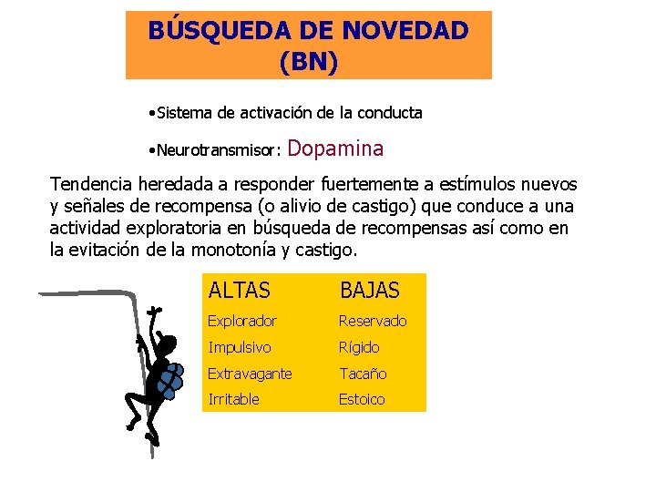 BÚSQUEDA DE NOVEDAD (BN) • Sistema de activación de la conducta • Neurotransmisor: Dopamina