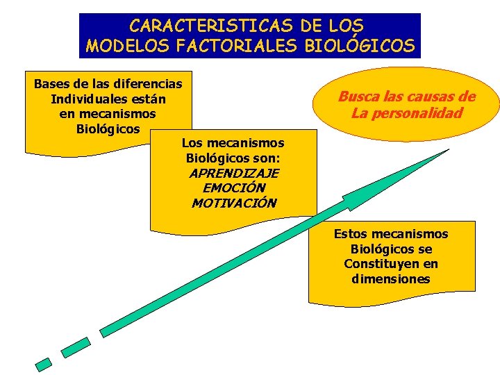 CARACTERISTICAS DE LOS MODELOS FACTORIALES BIOLÓGICOS Bases de las diferencias Individuales están en mecanismos