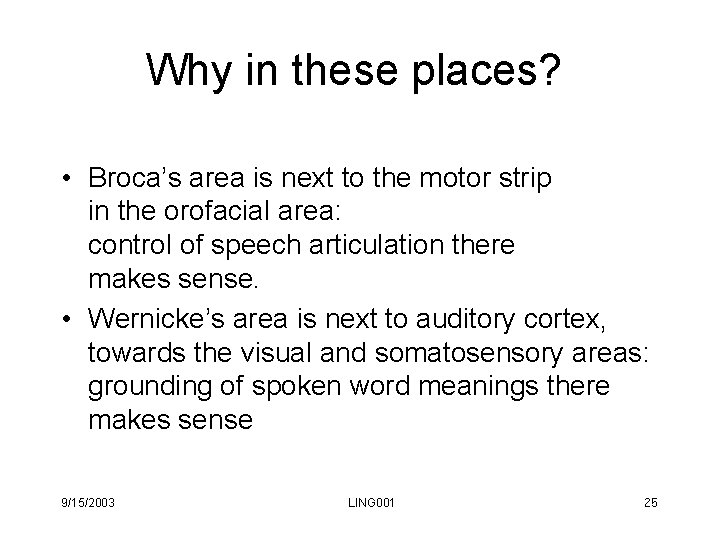 Why in these places? • Broca’s area is next to the motor strip in Why in these places? • Broca’s area is next to the motor strip in