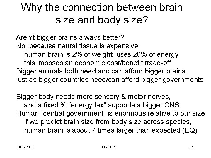 Why the connection between brain size and body size? Aren’t bigger brains always better? Why the connection between brain size and body size? Aren’t bigger brains always better?