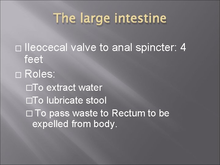 The large intestine Ileocecal valve to anal spincter: 4 feet � Roles: � �To