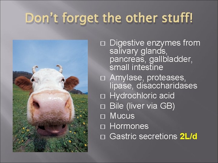 Don’t forget the other stuff! � � � � Digestive enzymes from salivary glands,
