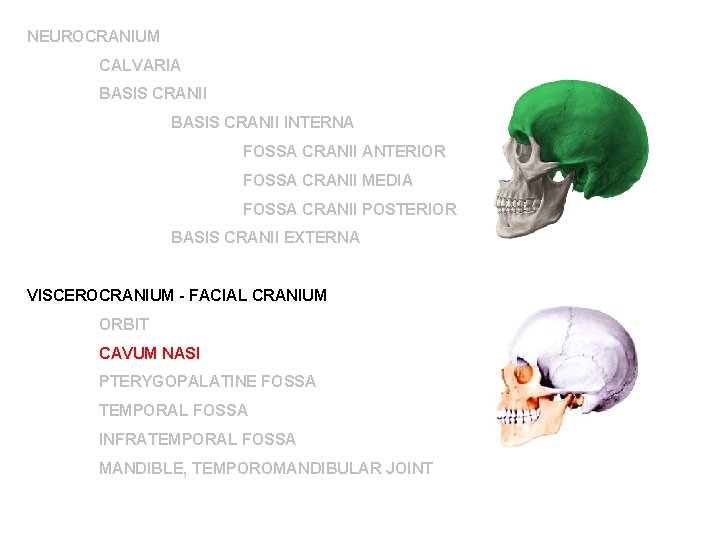 NEUROCRANIUM CALVARIA BASIS CRANII INTERNA FOSSA CRANII ANTERIOR FOSSA CRANII MEDIA FOSSA CRANII POSTERIOR